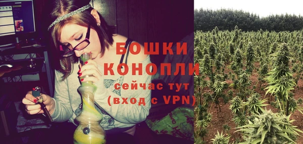 ПСИЛОЦИБИНОВЫЕ ГРИБЫ Никольск
